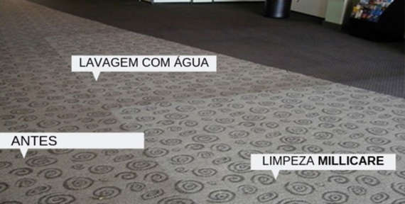 Você conhece a diferença entre lavagem e limpeza de carpetes?